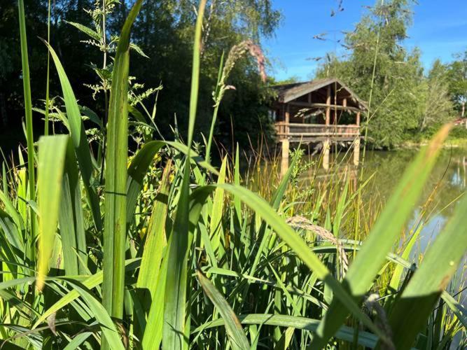 Le Domaine De La Vergnolle Roches  Cameră foto